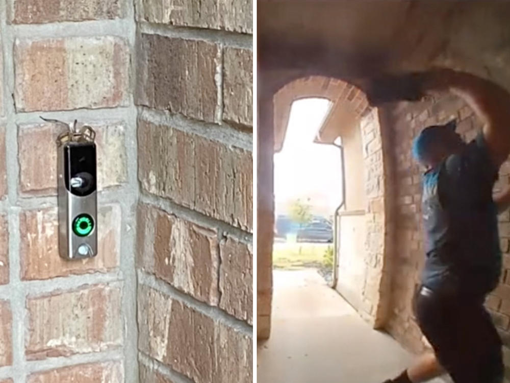 An Amazon delivery driver bravely conquers a persistent arachnid that had tormented a self-described spider-hating customer.