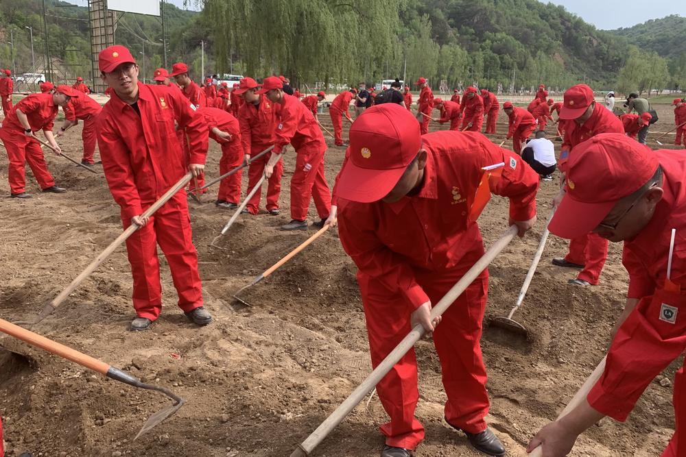 Employees of a local oil and gas company till fields using basic farming tools — just as Communist Party members would have done decades ago in Nanniwan, an impoverished county near Yan'an.