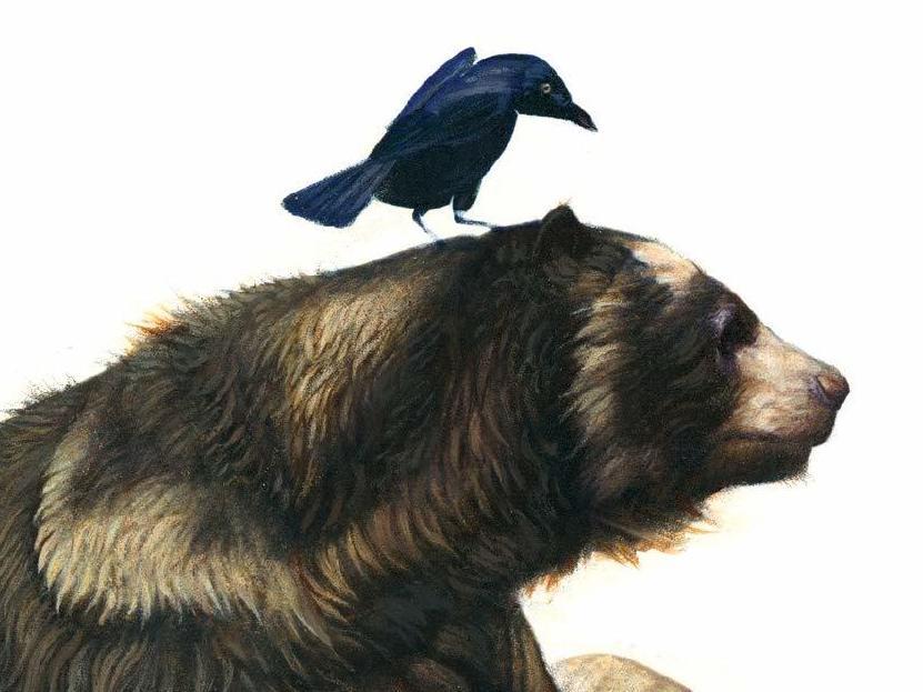 The Council Of Animals' Holds Humanity's Fate In Its ... Paws | Georgia Public Broadcasting The Council Of Animals' Holds Humanity's Fate In Its ... Paws | Georgia Public Broadcasting
