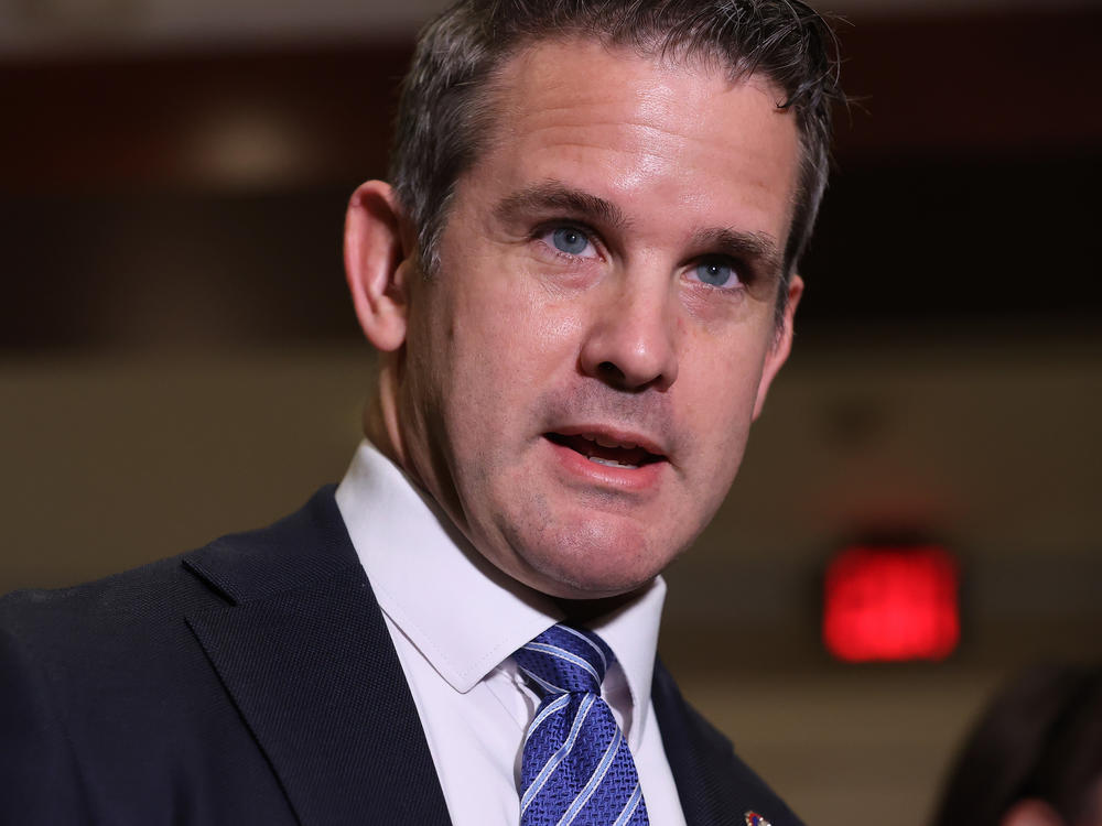 Rep. Adam Kinzinger.