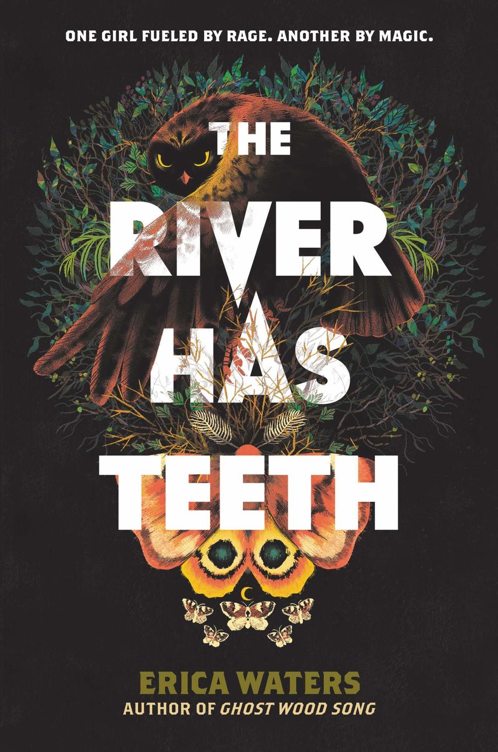 <em>The River Has Teeth</em>, by Erica Waters