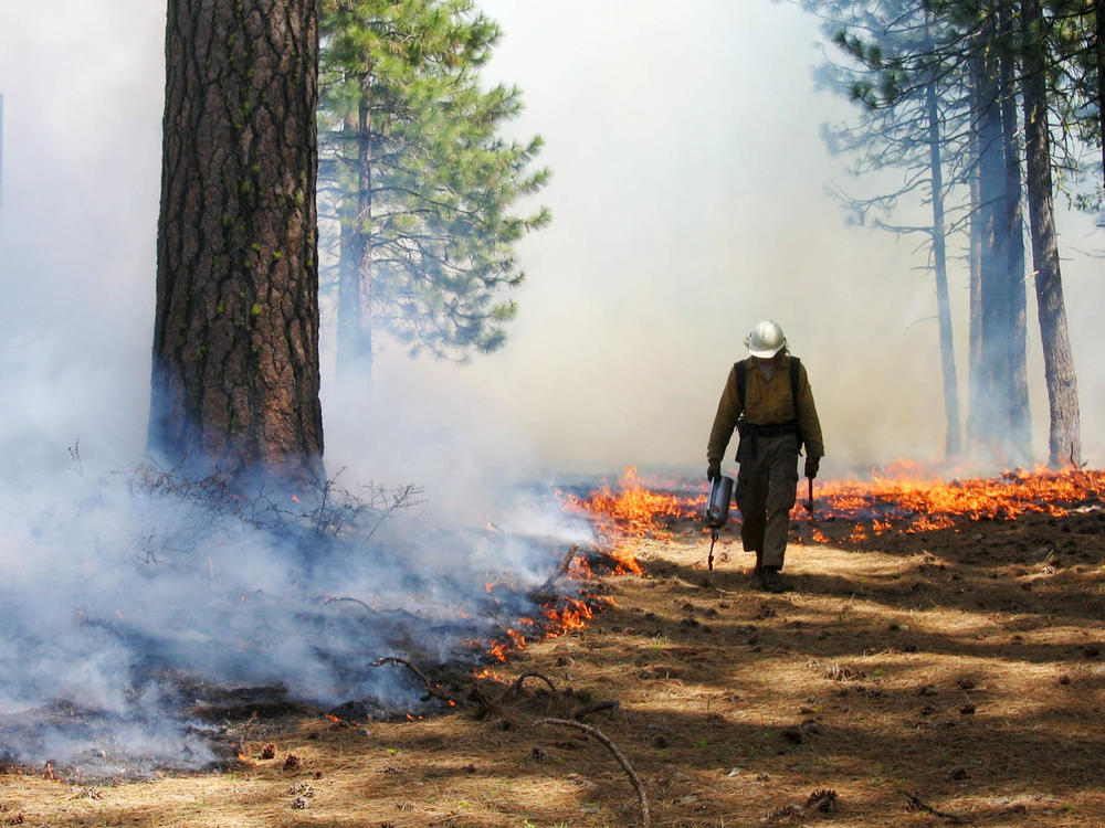 Controlled burns, like this one in Lassen Volcanic National Park, reduce the risk of extreme fires by clearing flammable brush.