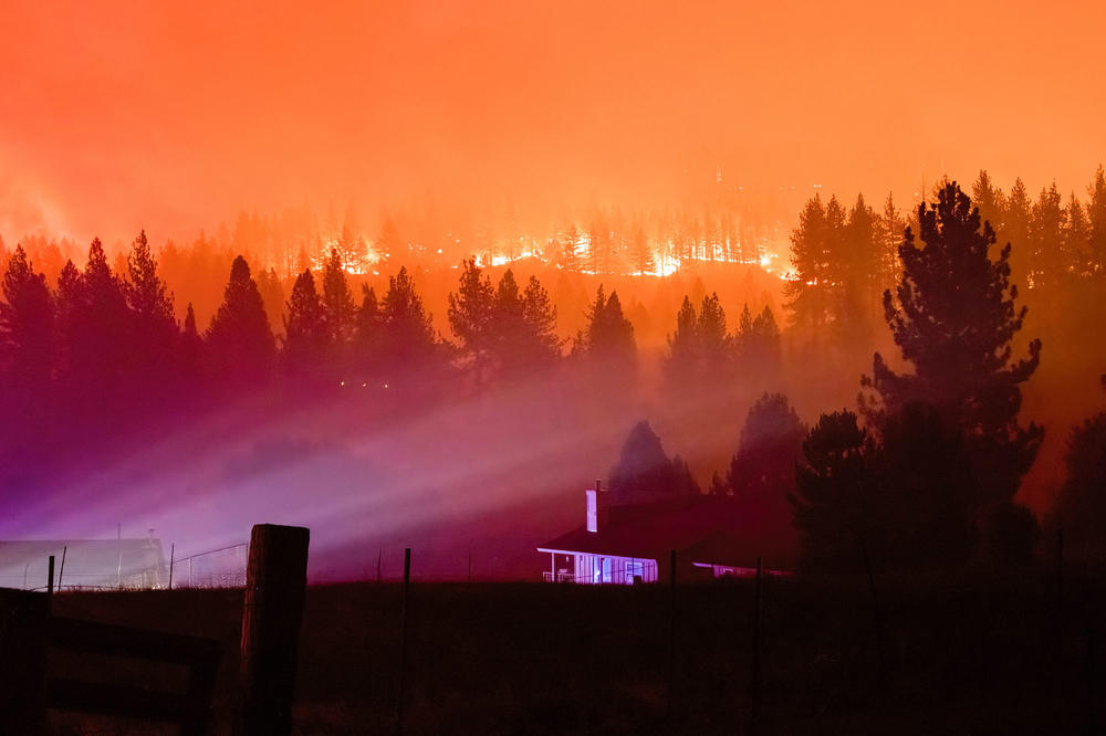 After starting in remote mountains, the Tamarack Fire burned toward the town of Markleeville, Calif. in mid-July.