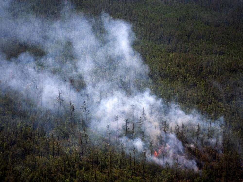 This aerial photo taken from an airplane on July 27 shows smoke rising from a forest fire outside the village of Berdigestyakh in Russia's Sakha Republic in northeastern Siberia.