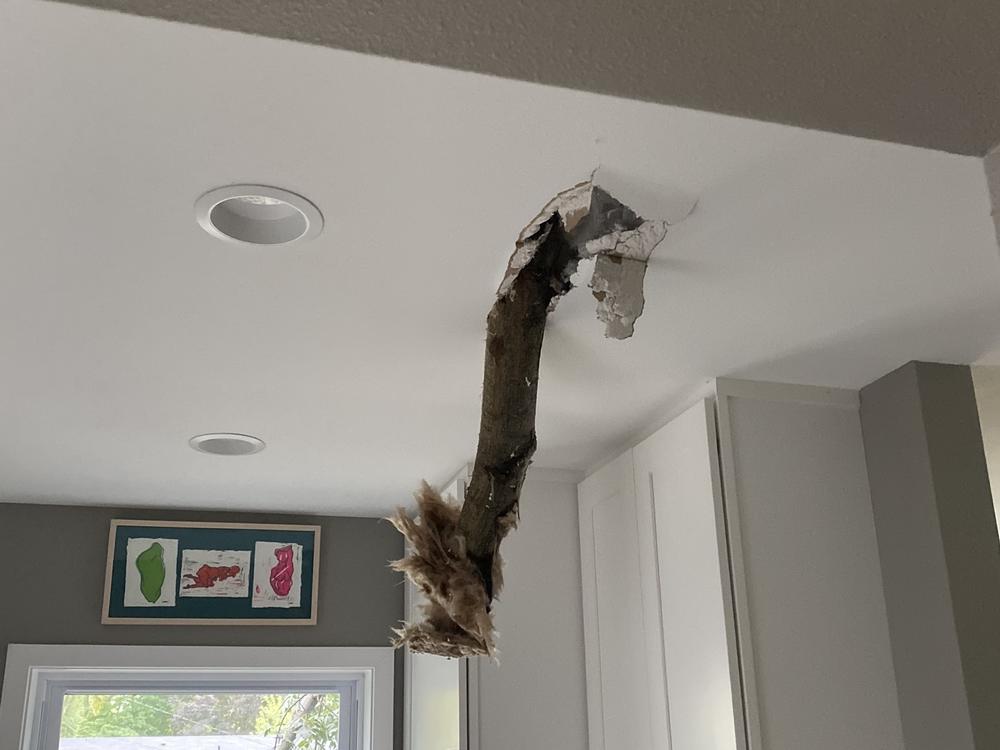 The Bergus family returned to find a tree limb had punctured the roof of their home in Iowa City during the derecho.