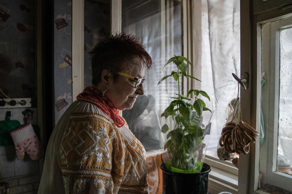 Draghici stands in her kitchen with a plant. She says she's hopeful. 