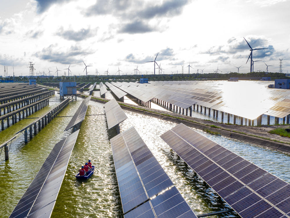 Electrical workers check solar panels at a photovoltaic power station built in a fishpond in Haian in China's eastern Jiangsu province.