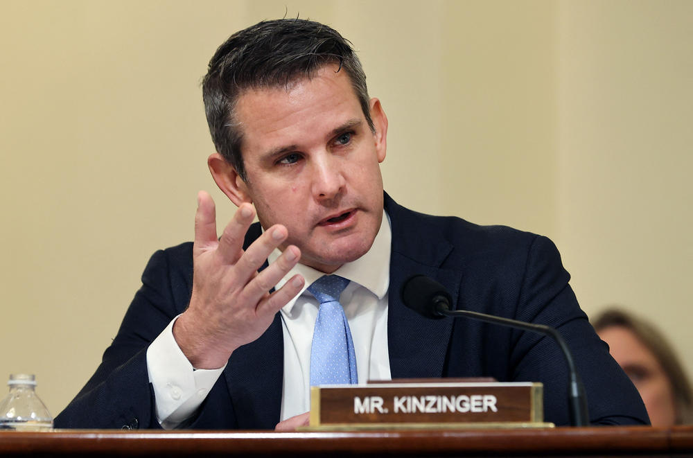 GOP Rep. Adam Kinzinger of Illinois, seen here during a July hearing, is a member of the Air National Guard.