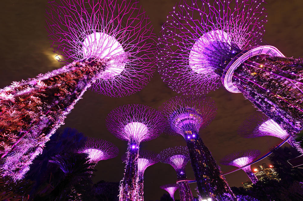 The Supertree Grove at the Gardens by the Bay in Singapore is lit up to celebrate the launch of the International Paralympic Committee's WeThe15 campaign on Thursday.