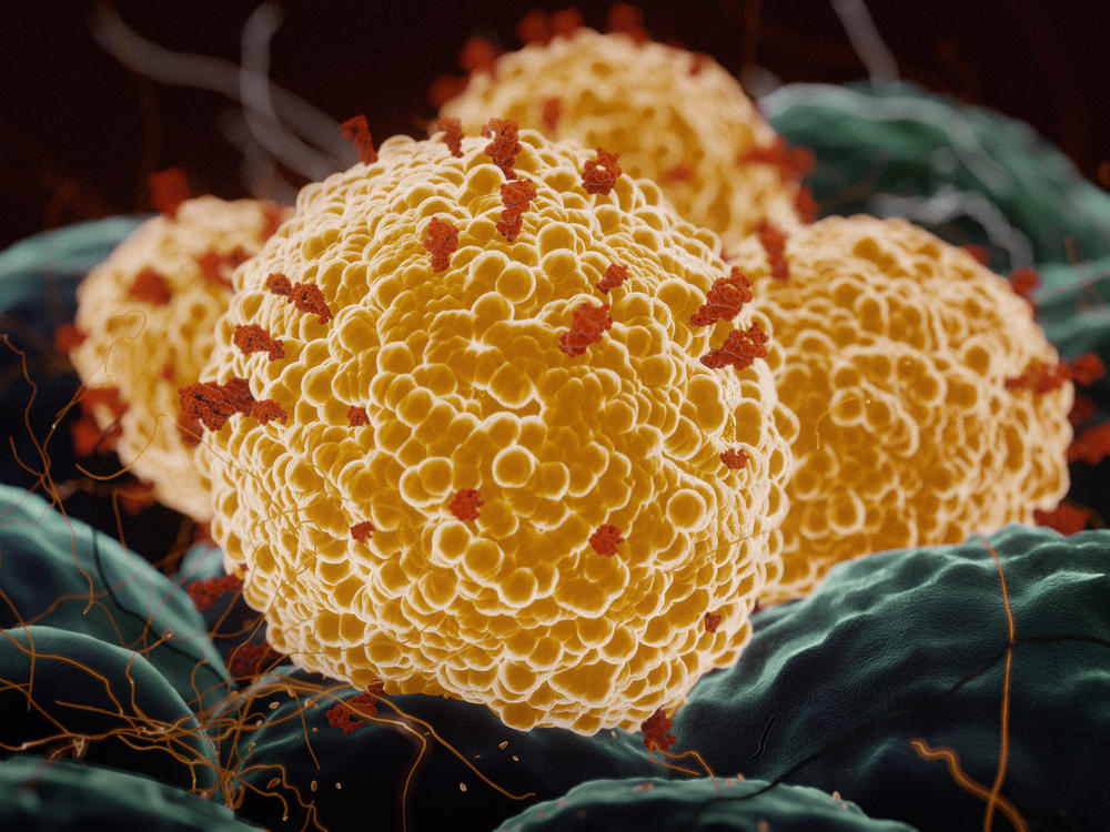Researchers at the University of Texas Medical Branch are helping to test the Pfizer-BioNTech COVID-19 vaccine against coronavirus variants.