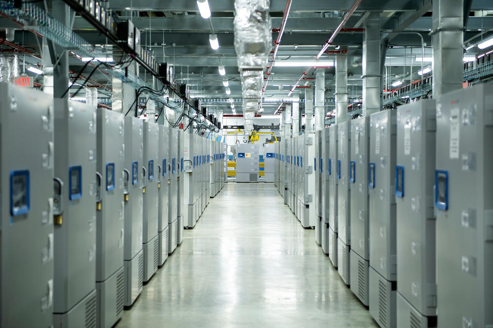 Banks of ultracold freezers are used to store COVID-19 vaccines at Pfizer's Kalamazoo manufacturing complex in Portage, Mich.