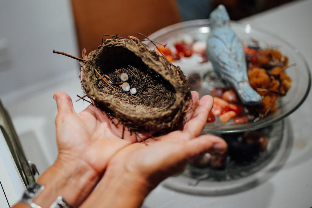 Lori Guadagno holds the bird's nest. Once she found that nest, 