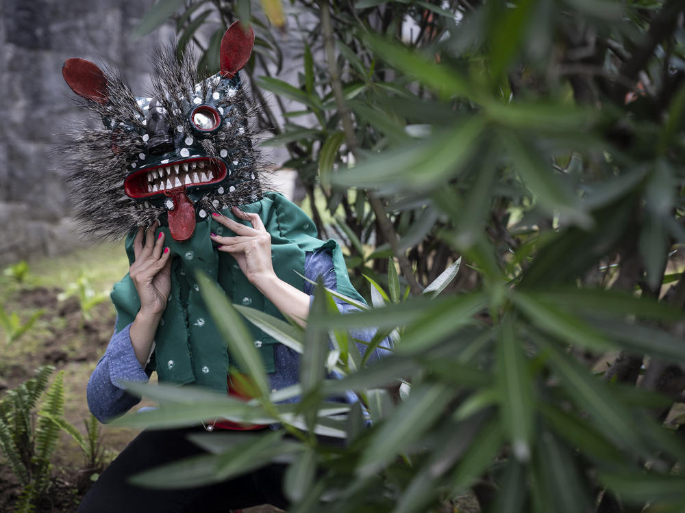 Blanca Cardenas, professor of ethnology at the National School of Anthropology and History, wears the mask 