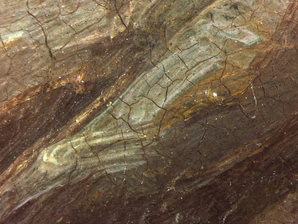 Detail (photomicrograph) showing multiple colors in a marbled paint stroke from <em>The Thankful Poor</em>