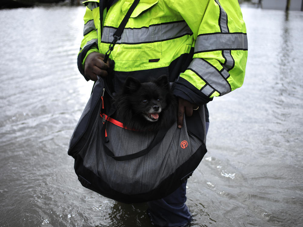 A resident carries a dog through floodwaters left behind by Hurricane Ida, on Monday in LaPlace, La. The storm, wielding some of the most powerful winds ever to hit the state, drove a wall of water inland on Sunday.