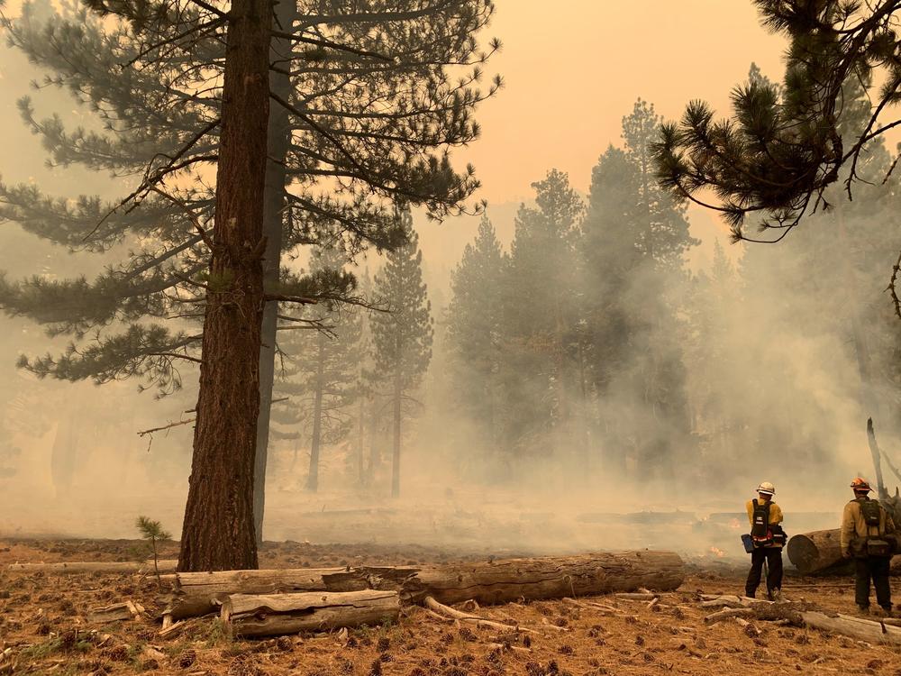 Firefighters work to put out a spot fire ahead of the main wall of flames on the Caldor Fire near South Lake Tahoe.