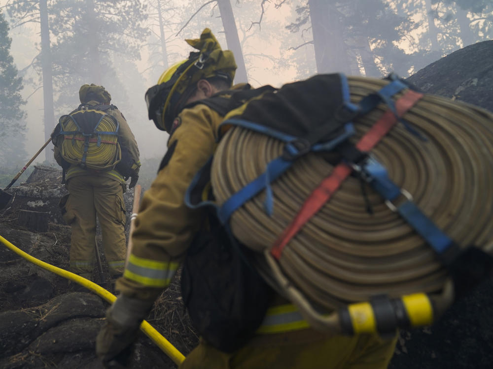 Firefighters from the Cosumnes Fire Department carry water hoses last week while holding a fire line to keep the Caldor Fire from spreading in South Lake Tahoe, Calif.