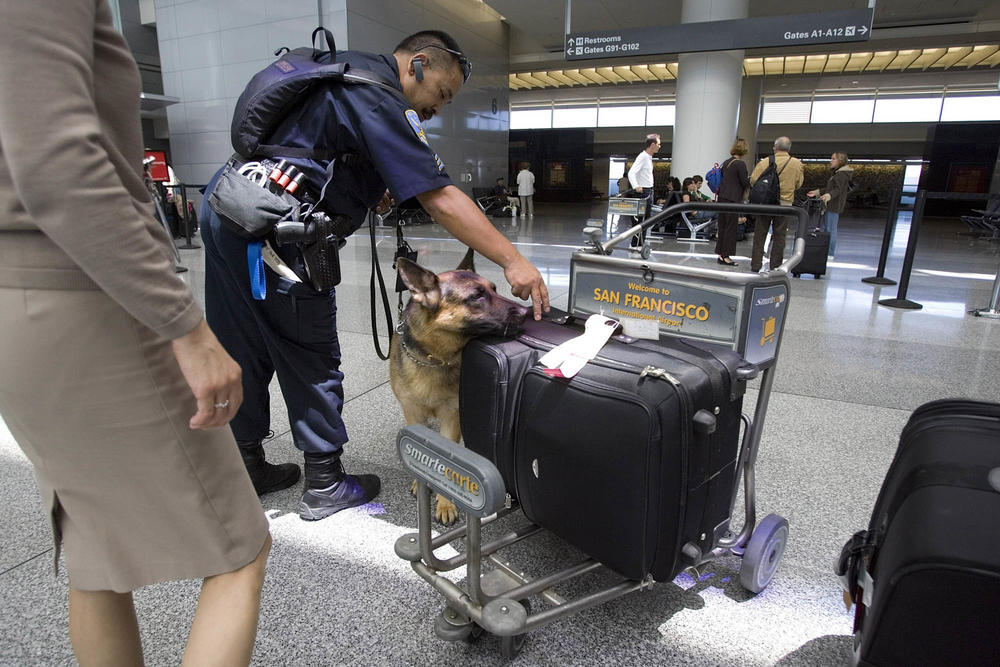 Sgt. Cliff Java of the San Francisco Police Department and his dog, Jacky, check luggage at San Francisco International Airport on July 3, 2007.