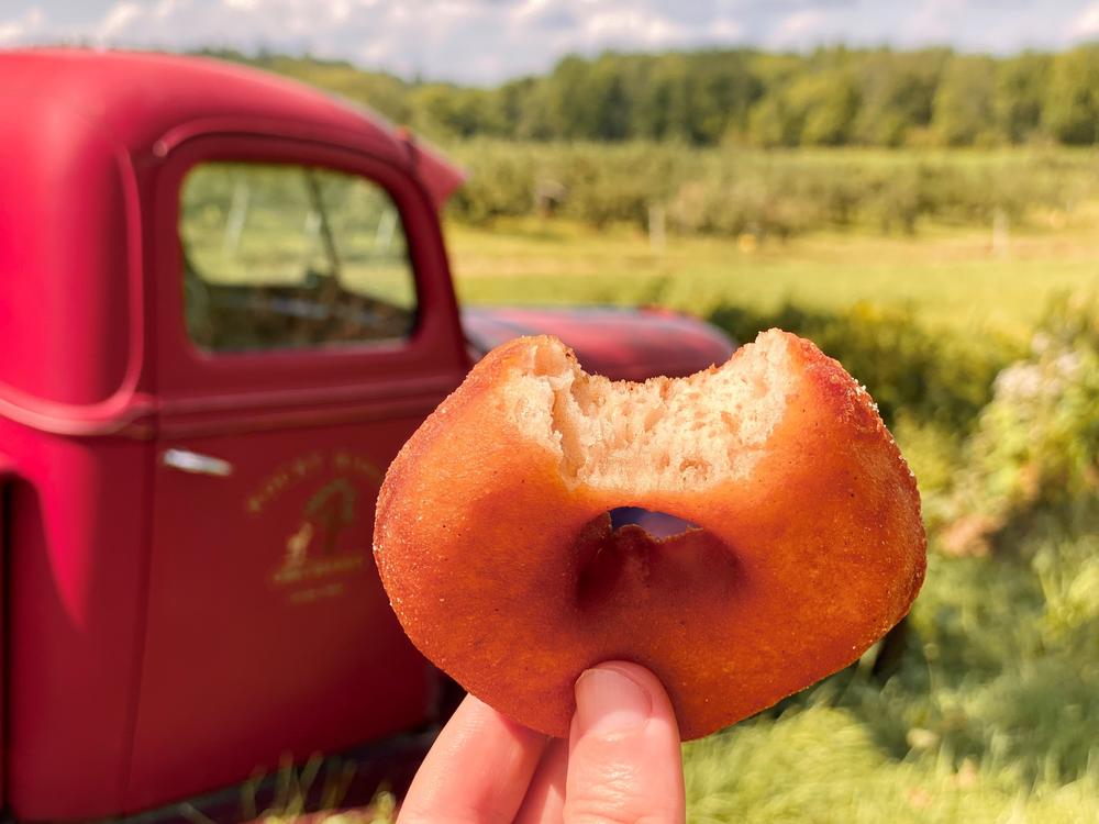 Alex Schwartz is hunting for the best cider doughnuts New England has to offer.