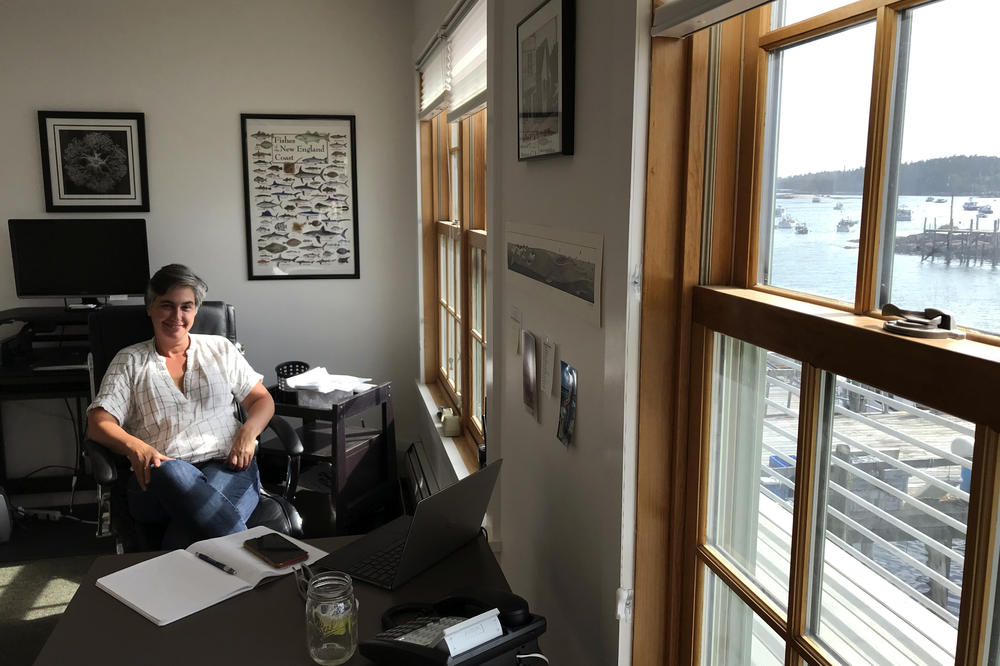Carla Guenther, chief scientist at the Maine Center for Coastal Fisheries, in her office overlooking the harbor in Stonington. She's part of a research team studying the resilience of Maine's lobster industry and the communities that depend on it.