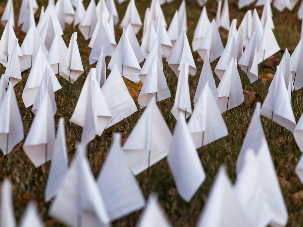 An art installation last year created by Suzanne Brennan Firstenberg and located near RFK Stadium featured 267,080 white flags representing the staggering loss caused by COVID-19.