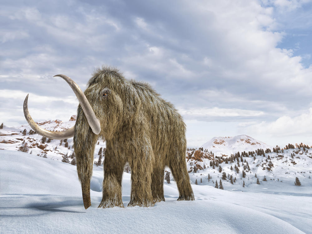 An artist's impression of a woolly mammoth in a snow-covered environment.