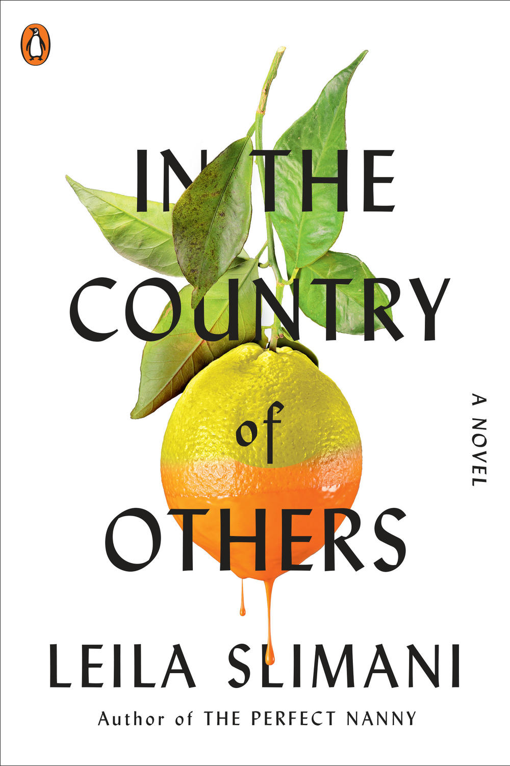 Cover of Leila Slimani's new novel, <em>In the Country of Others</em>