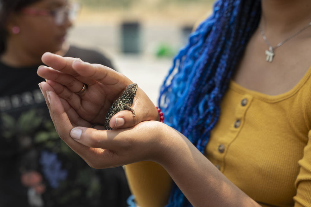 Shekhiynah Larks holds a lizard she found on the ranch.