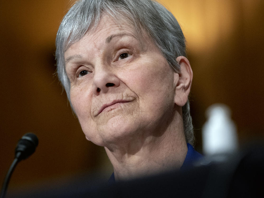 Dr. Janet Woodcock, acting commissioner of the Food and Drug Administration, appears before a Senate committee in July. Many public health leaders say letting the agency go so long without a permanent director has demoralized staff and sends the wrong message about the agency's importance.