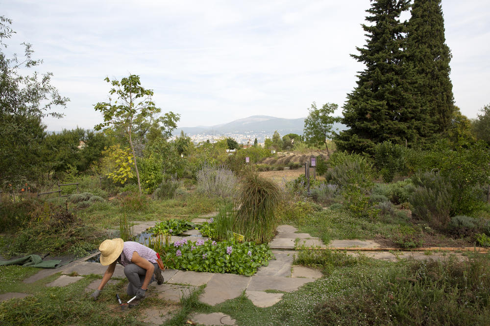General view of the International Perfume Museum's gardens in Grasse. 