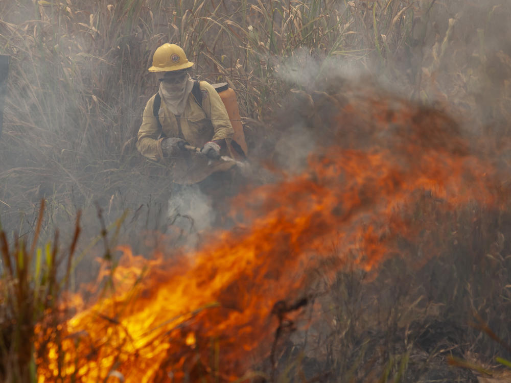 Even with a decree banning fires in all Brazilian territory for 120 days on August 21, 2020, members of the fire brigade of the Brazilian Environment Institute (Ibama) fight fires in a farm near the city of Novo Progresso, in the south of the state of Pará.