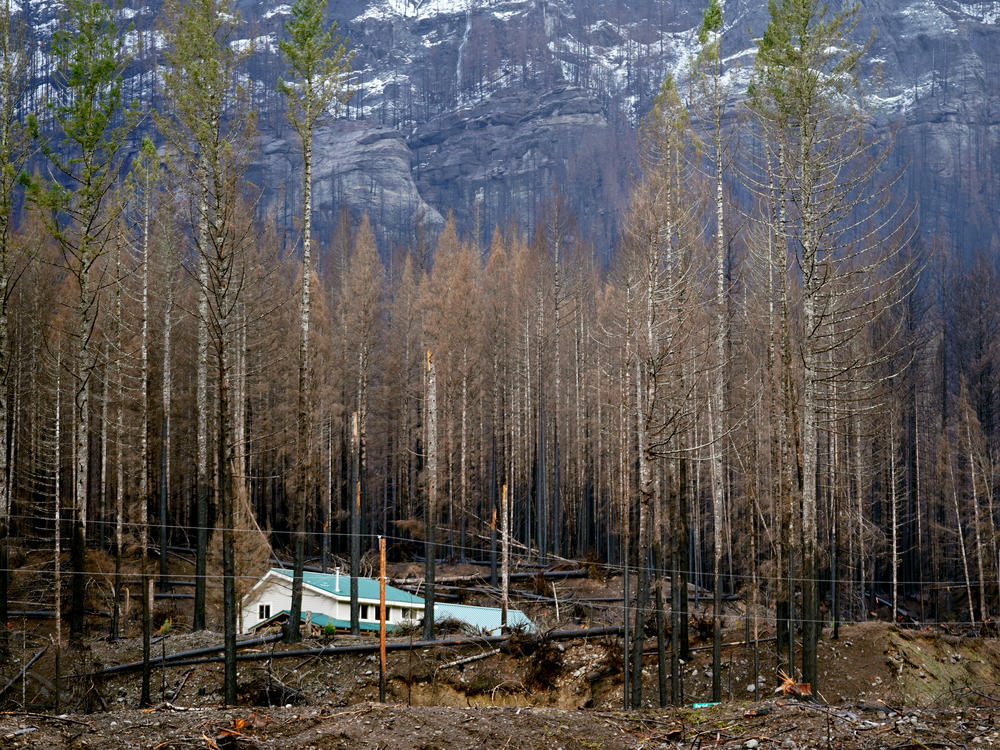 Mary Bradshaw's house in Elkhorn, Ore., in February. The fire-hardened home was one of the few that survived last year's Beachie Creek Fire in the area.