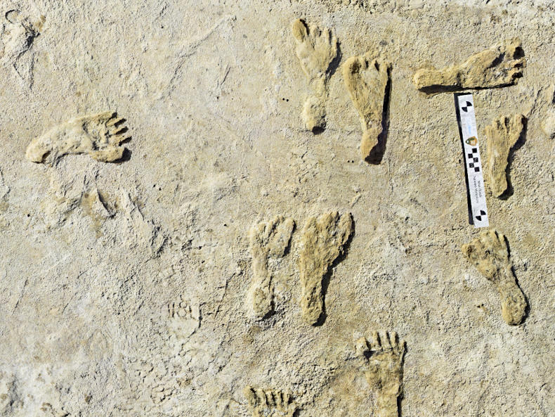 Fossilized human footprints shown at the White Sands National Park in New Mexico. According to a report published in the journal <em>Science</em>, the impressions indicate that early humans were walking across North America around 23,000 years ago.