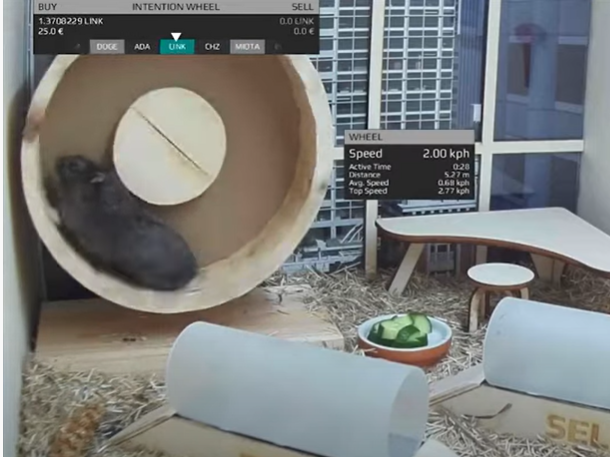 Spinning on the hamster wheel allows Mr. Goxx to select a cryptocurrency to trade. Choosing one of two tunnels to run through allows him to buy or sell.