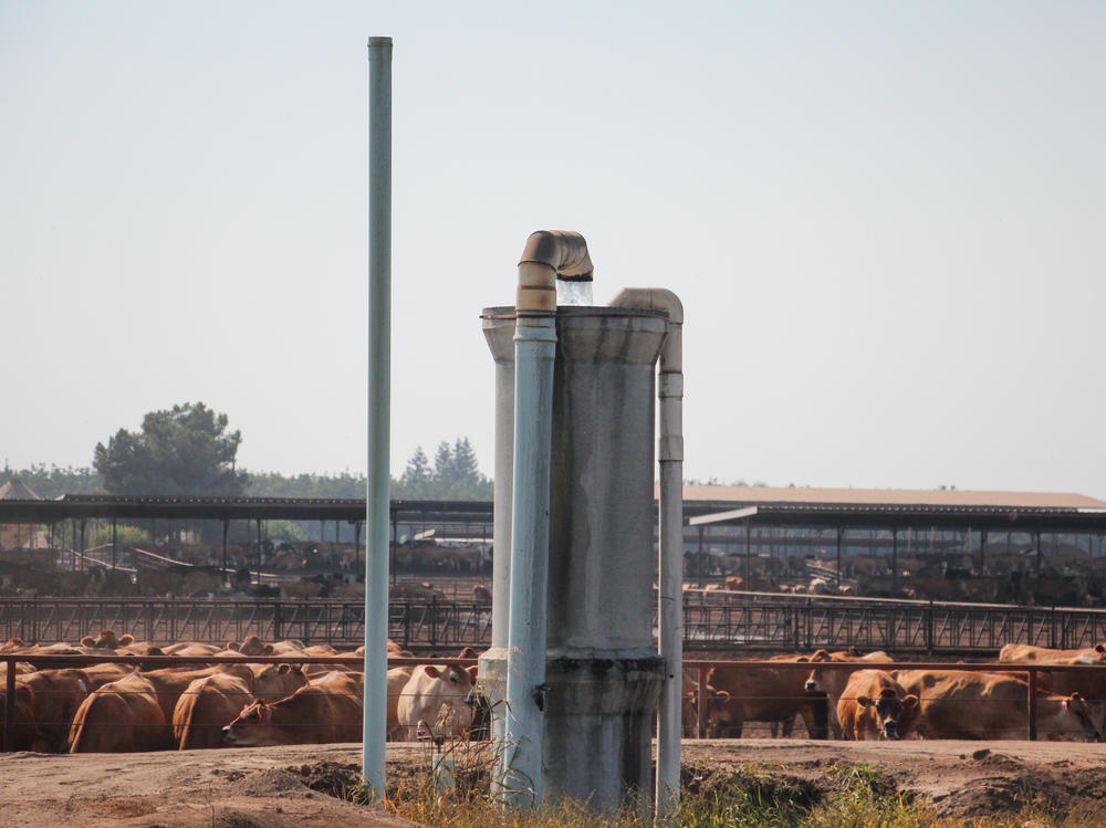 In a farming area east of Tulare, Calif., fields of corn and dairy herds depend on water from wells like this one. The state is now limiting the use of this groundwater.