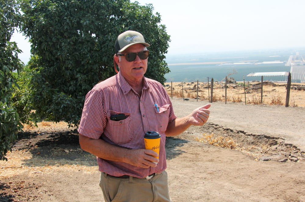 David Roberts grows citrus crops on the eastern side of the Central Valley, near Woodlake, Calif. Some of his orchards depend entirely on water that he pumps from the aquifer.