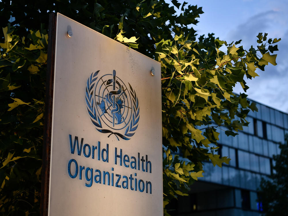 A report by the World Health Organization this week detailed 83 allegations of sexual abuse by its employees during the Ebola crisis that began in 2018 in the Democratic Republic of Congo. WHO Director-General Tedros Adhanom Ghebreyesus called it a 