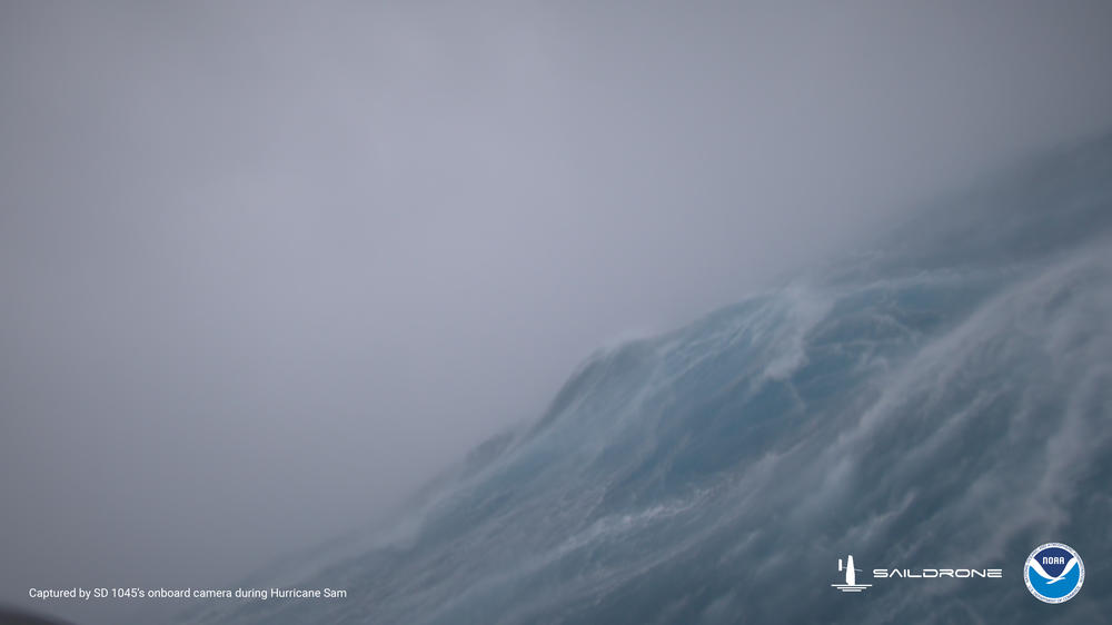 A drone sailed into Hurricane Sam and sent back this image.