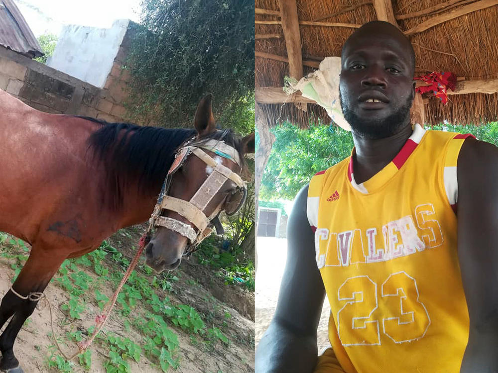 Bassirou Ndao's horse ran away. He needed the animal for his farmwork and couldn't afford a replacement. Posting a photo on the Trouvés ou Perdus Facebook page led to an equine reunion.