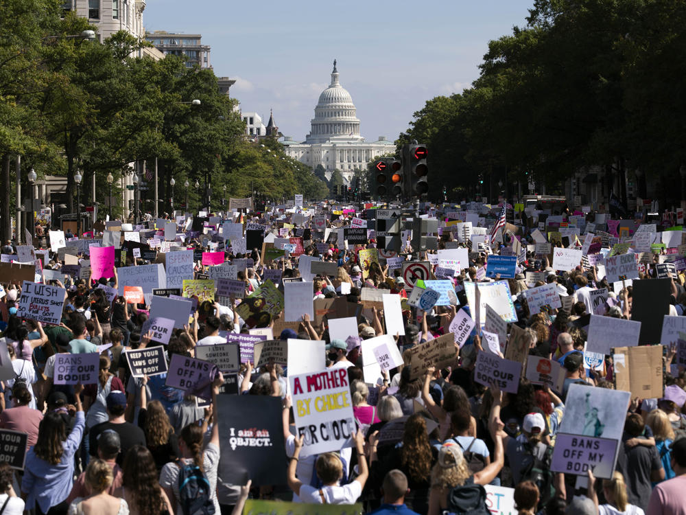 With the U.S. Capitol in the background, thousands of demonstrators take to the streets in downtown Washington, D.C., during the Women's March on Saturday.