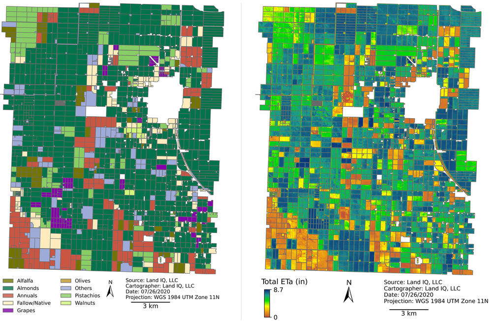 Land IQ uses data from a NASA satellite to determine which crops are growing on each field. This map on the left shows one small part of California's Central Valley. The darkest green areas are almond groves. This map on the right shows evapotranspiration (water used by crops or evaporated from soil) in this region during June 2020. Some fields (shown in dark blue) consumed 8 inches of water.