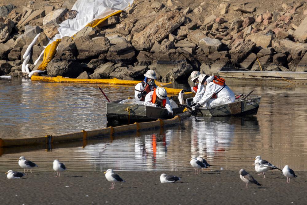 Workers in boats try to clean up the oil floating near gulls in the Talbert Marsh as a 3,000-barrel oil spill, about 126,000 gallons, reaches the shore and sensitive wildlife habitats in Newport Beach, Calif., on Sunday.