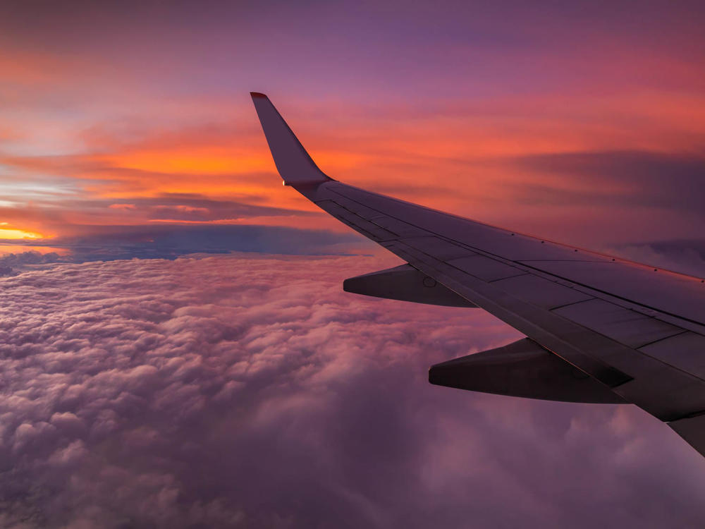 Google Flights will now show users what the carbon emissions of their prospective trips will be when they search for flight options.