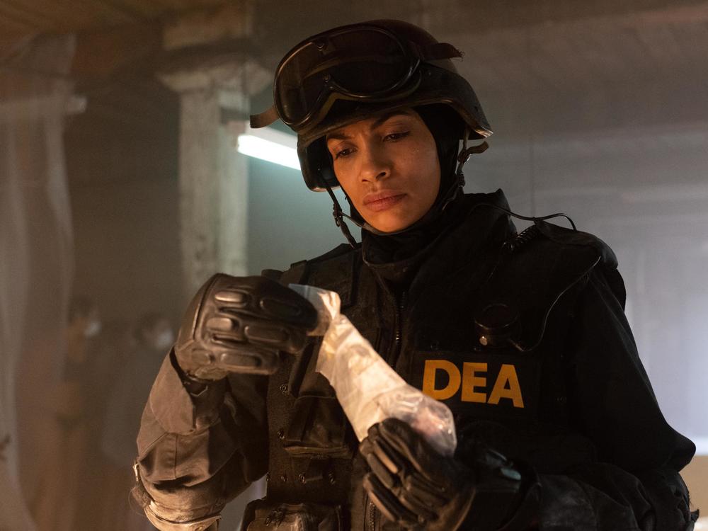 Rosario Dawson plays DEA agent Bridget Meyer.