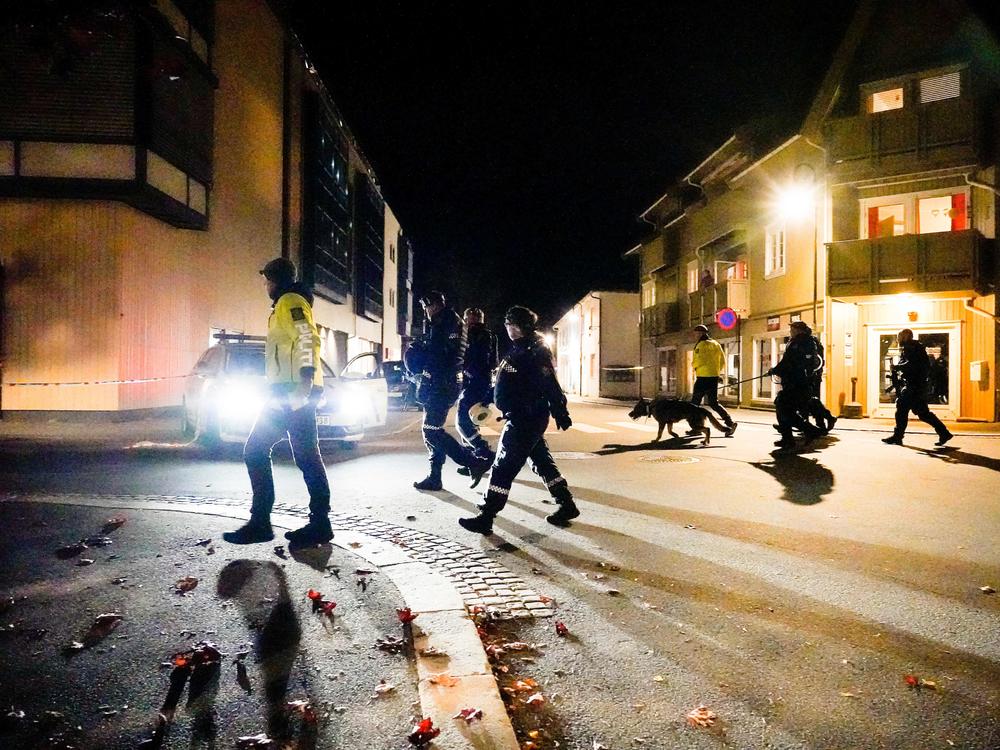 Police officers investigate a scene in Kongsberg, Norway, after a man armed with a bow killed several people before he was arrested Wednesday.