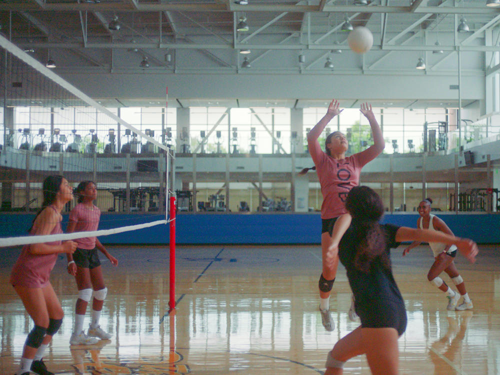 League One Volleyball is a new pro league that aims to nurture players from the youth club level, where coaches and elite players will share their expertise.