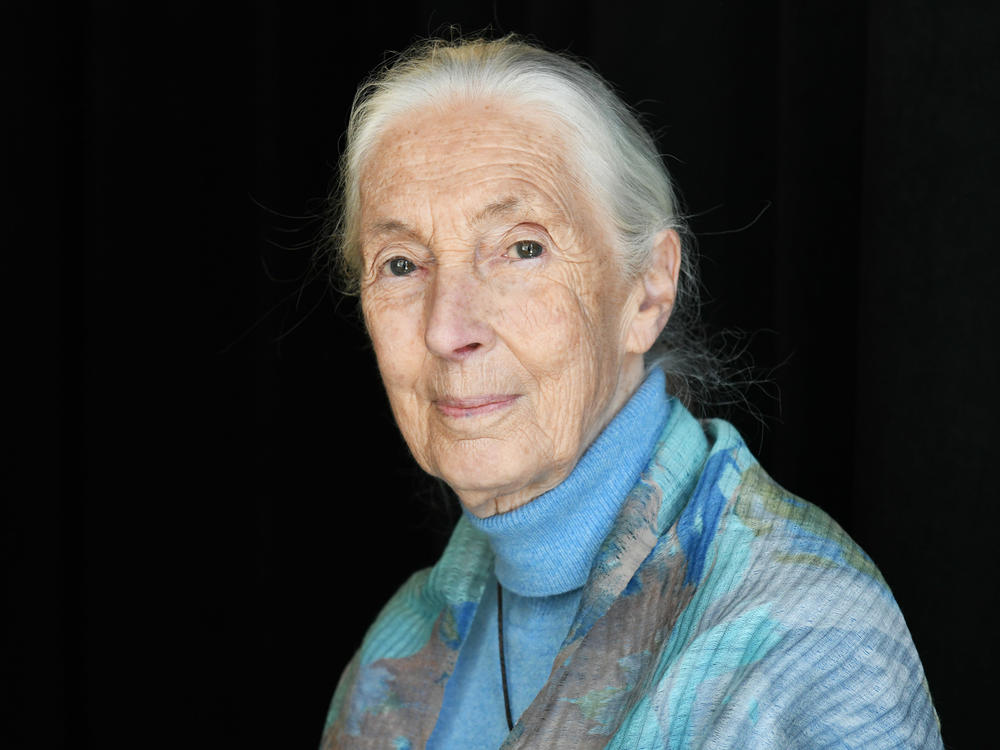 Dr. Jane Goodall in 2019. She has co-authored a new book, <em>The Book Of Hope</em>.