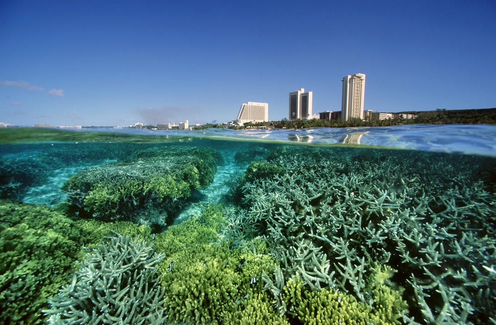 Coral Reef in Tumon Bay, Guam, 2005.