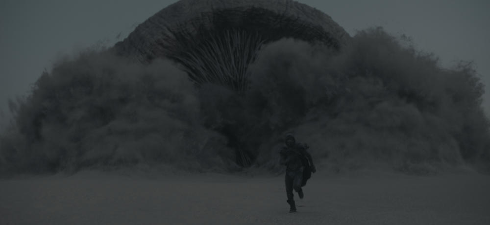 One of the aforementioned sandworms