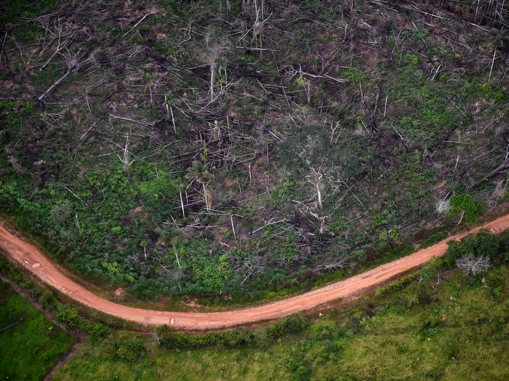 Aerial view of illegal deforestation at the Natural National Park in La Macarena, Meta Department, Colombia, in 2020.